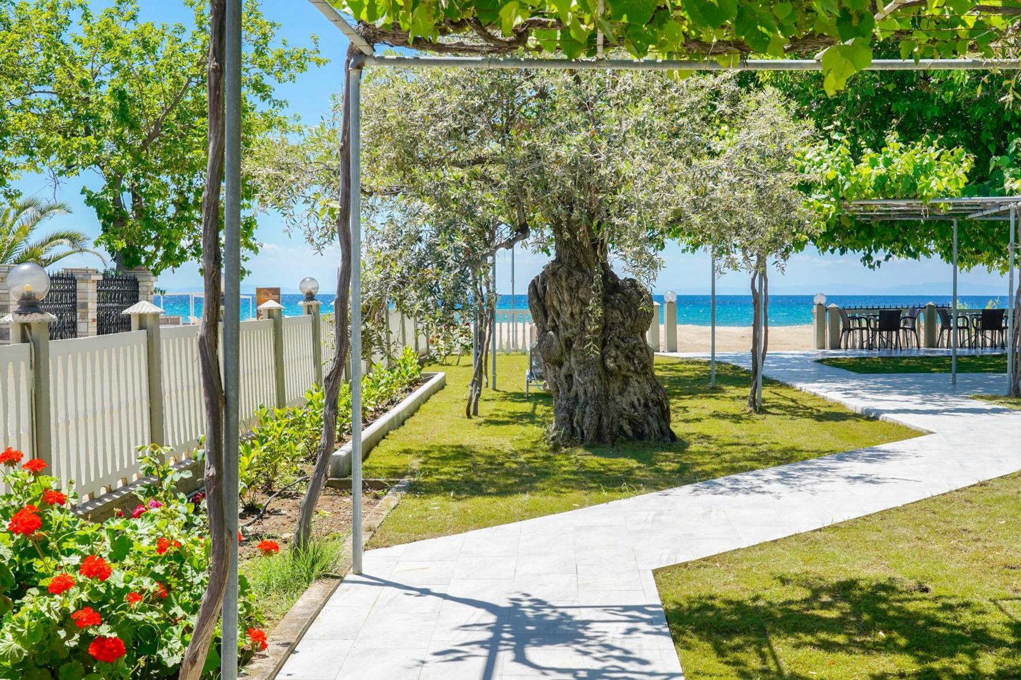 Olivento Beach Front Suites Потос Экстерьер фото
